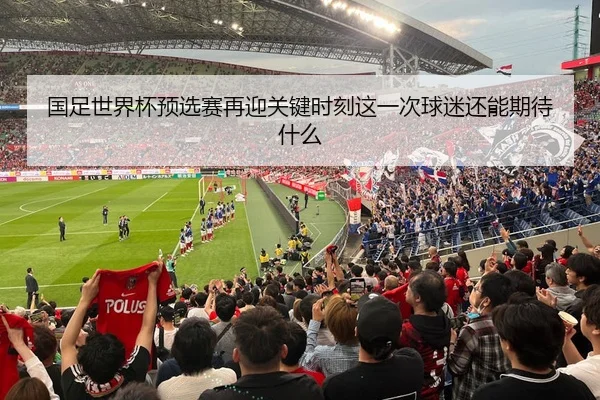 国足世界杯预选赛再迎关键时刻这一次球迷还能期待什么